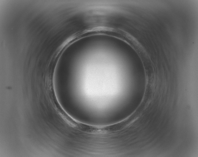 X0000081581321200701151233