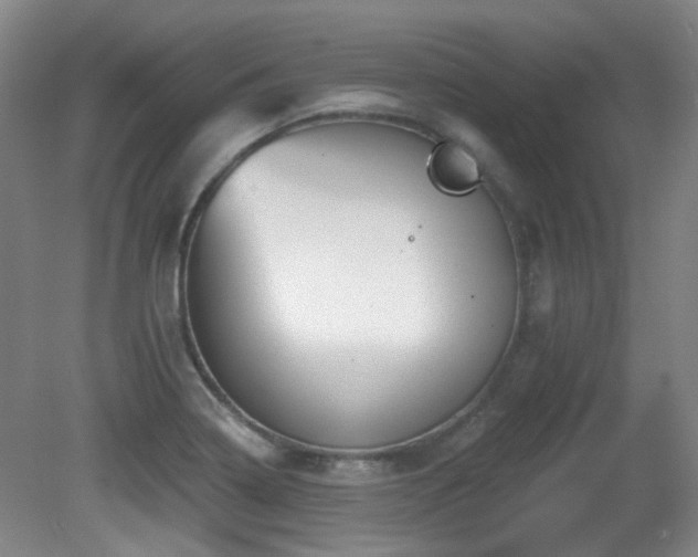 X0000081581322200701151233