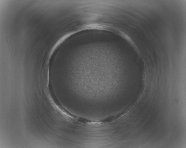 X0000081581323200701151233