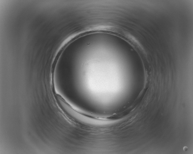 X0000081581324200701151233