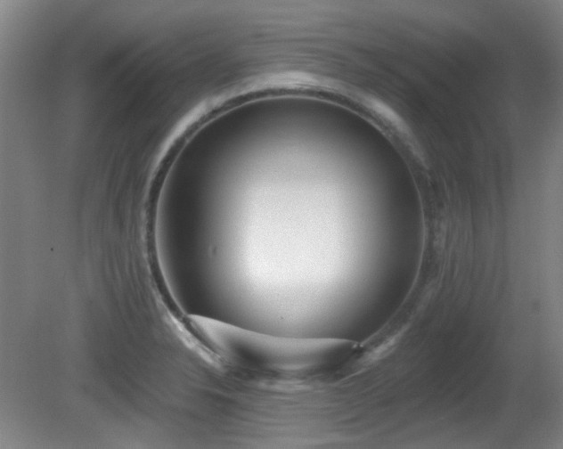 X0000081581326200701151233