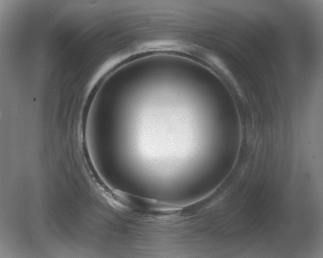 X0000081581328200701151233