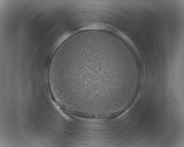 X0000081581329200701151233