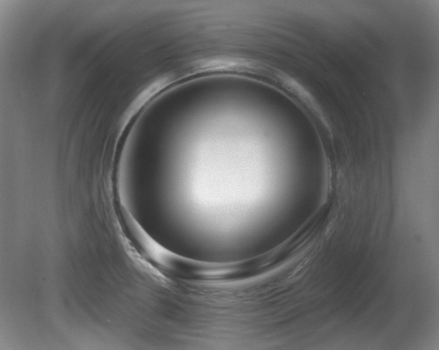 X0000081581330200701151233