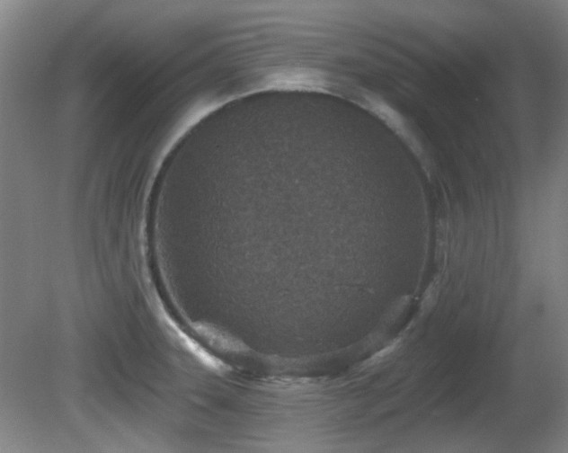 X0000081581331200701151233