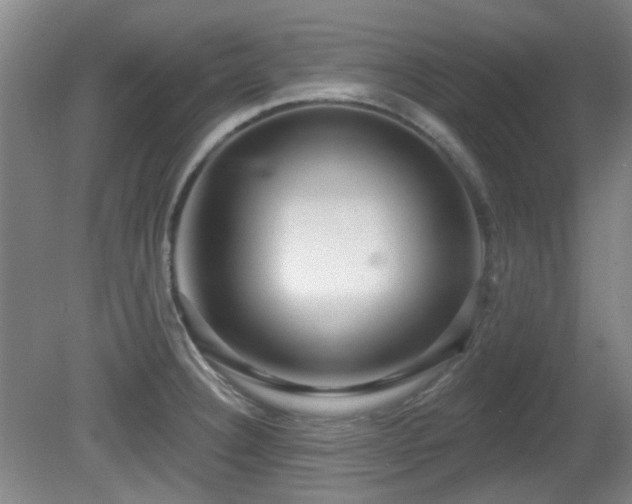 X0000081581332200701151233