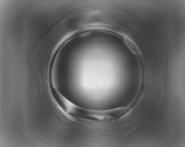 X0000081581333200701151233