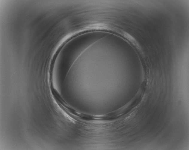 X0000081581334200701151233