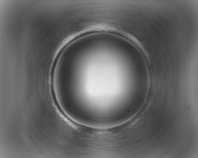 X0000081581335200701151233