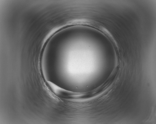 X0000081581336200701151233