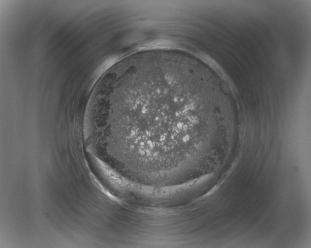 X0000081581337200701151233