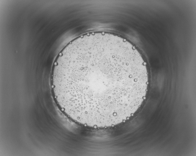 X0000081581338200701151233