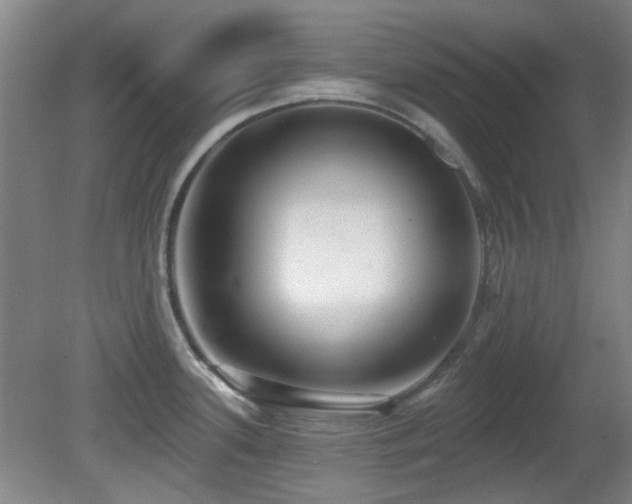 X0000081581339200701151233