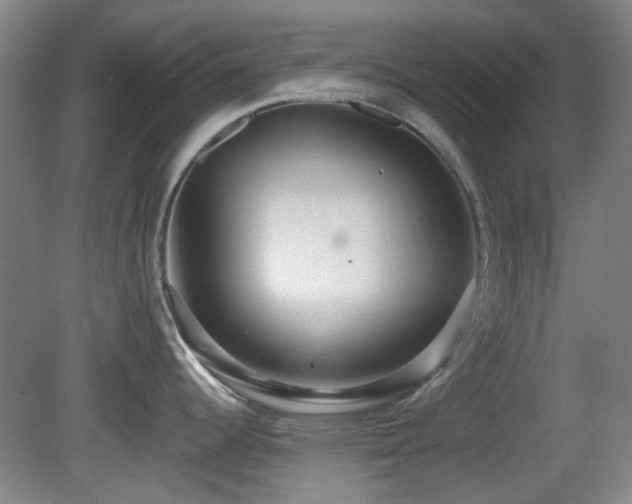 X0000081581344200701151233