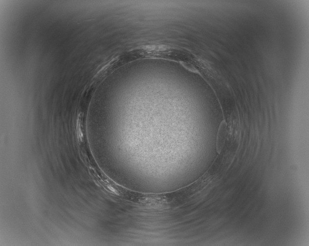 X0000081581346200701151232