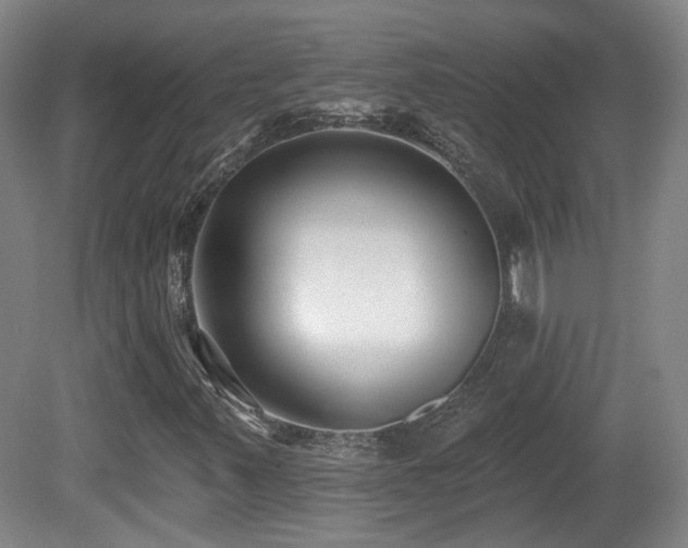 X0000081581347200701151232