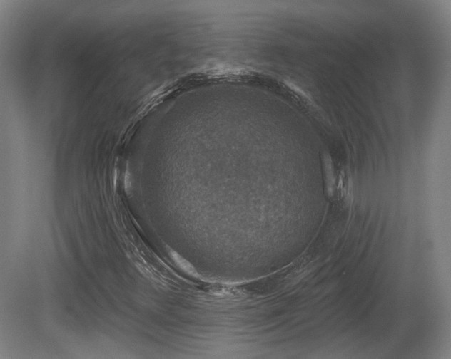 X0000081581348200701151232