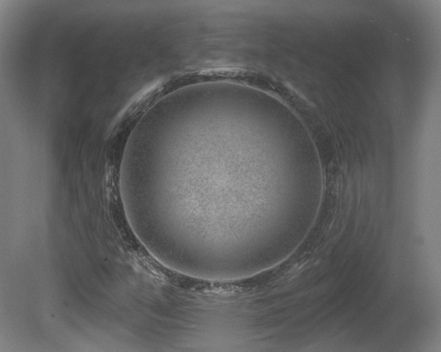 X0000081581351200701151232