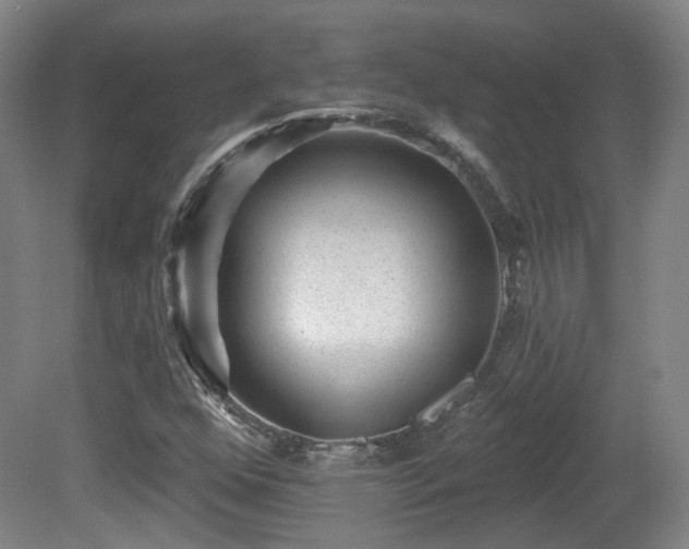 X0000081581352200701151232