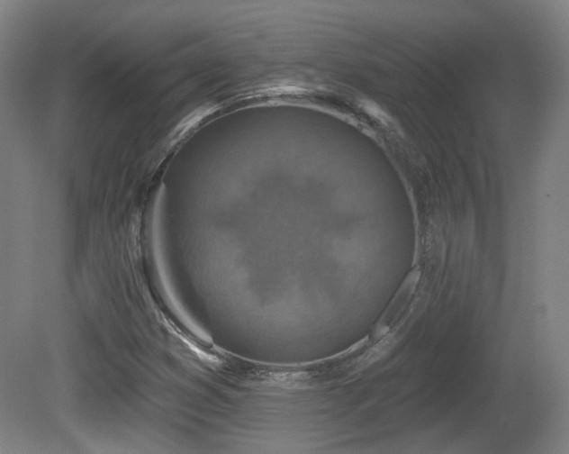 X0000081581353200701151232