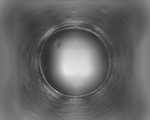 X0000081581354200701151232