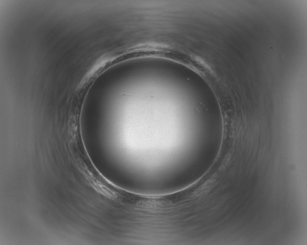 X0000081581355200701151232