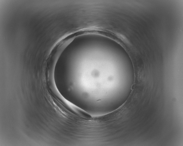 X0000081581356200701151232