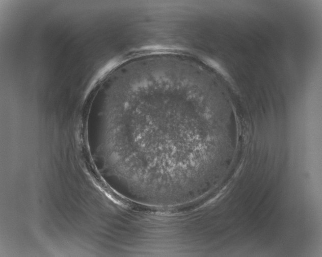 X0000081581357200701151232