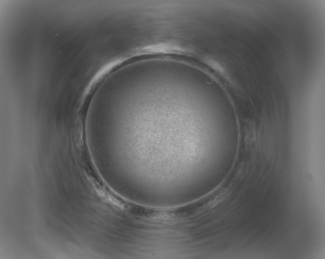 X0000081581358200701151232