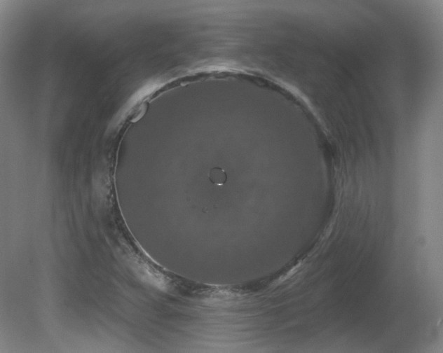 X0000081581359200701151232