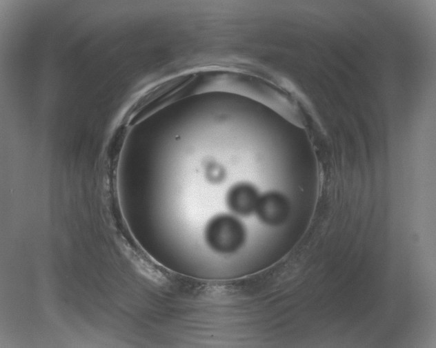 X0000081581360200701151232