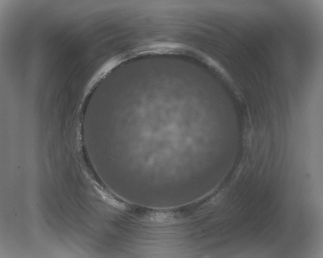 X0000081581362200701151232