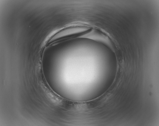 X0000081581363200701151232