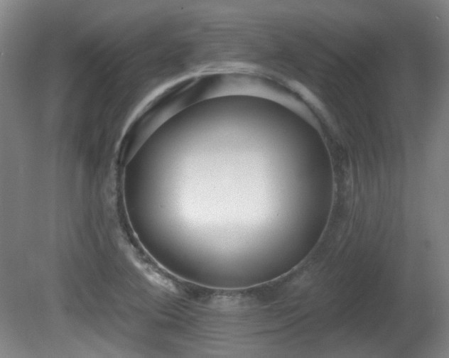 X0000081581364200701151232