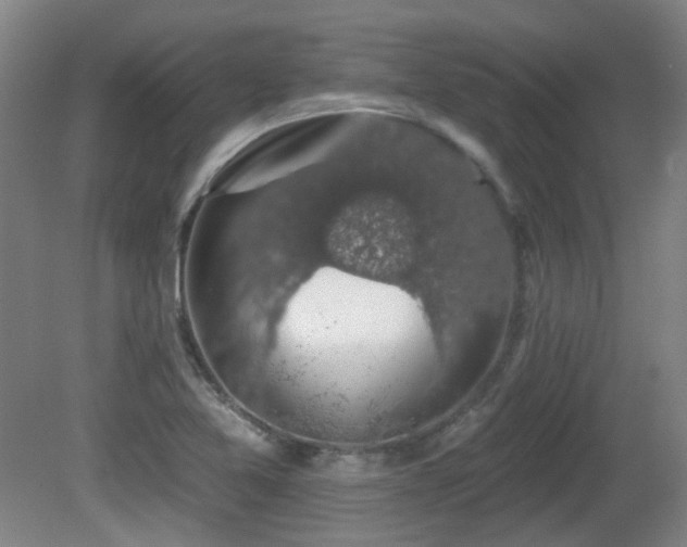 X0000081581365200701151232