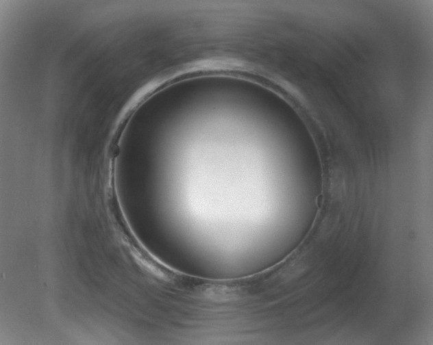 X0000081581366200701151232