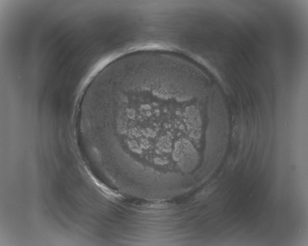 X0000081581367200701151232