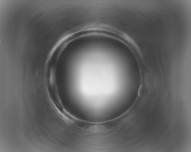 X0000081581368200701151232