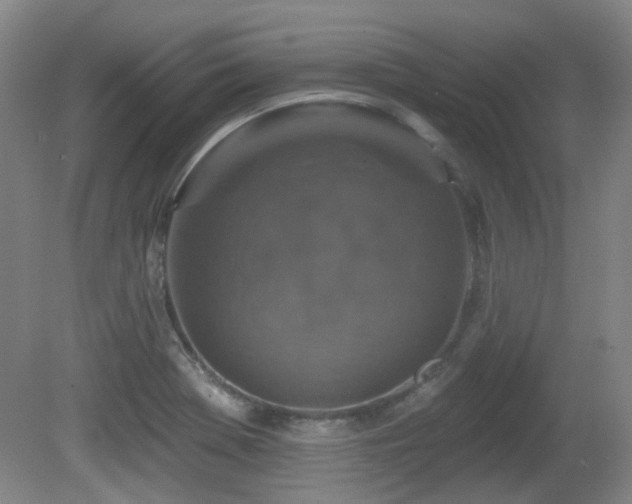 X0000081581369200701151232