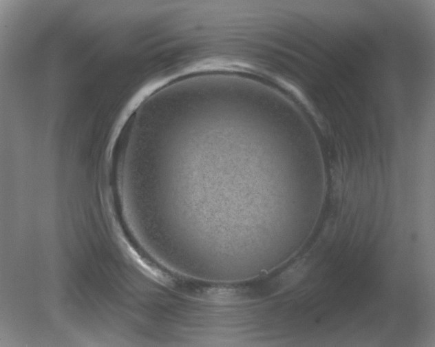 X0000081581371200701151232