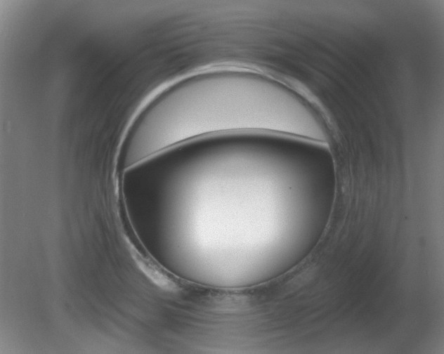 X0000081581372200701151232