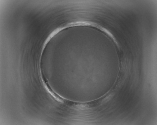 X0000081581373200701151232