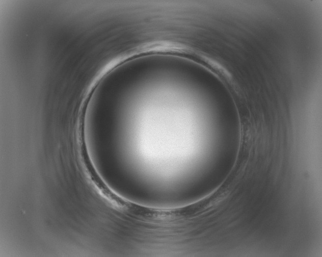 X0000081581375200701151232