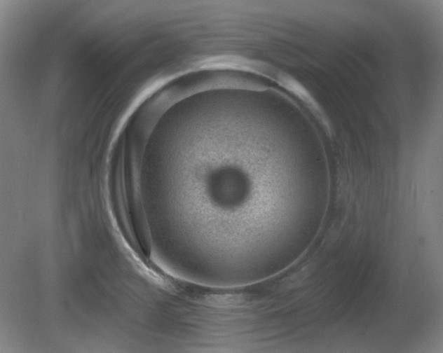 X0000081581376200701151232