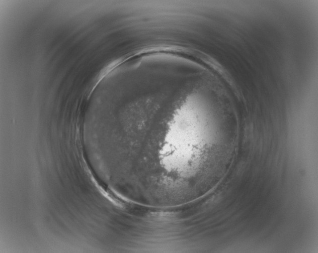 X0000081581377200701151232