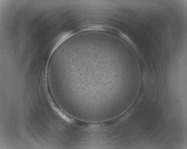 X0000081581378200701151232