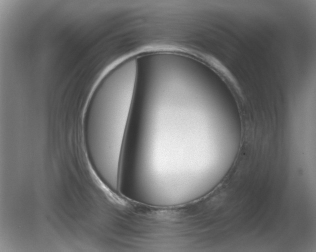 X0000081581380200701151232