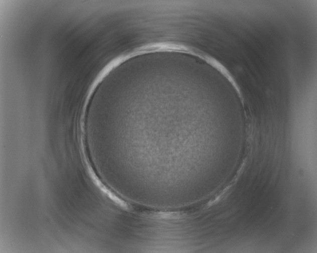 X0000081581381200701151231