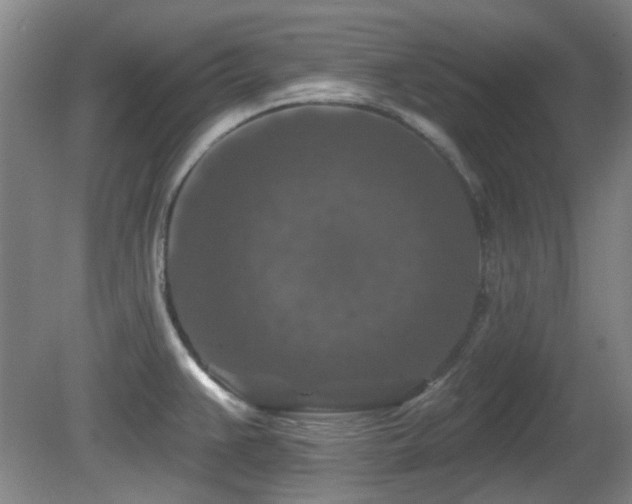 X0000081581383200701151231