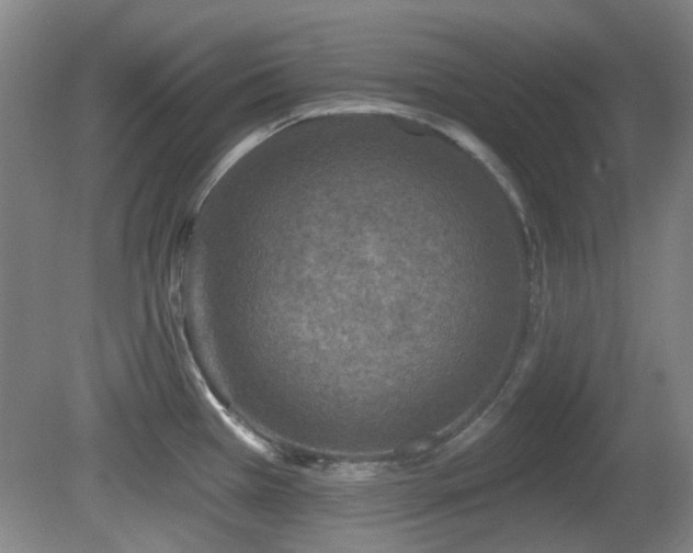 X0000081581385200701151231